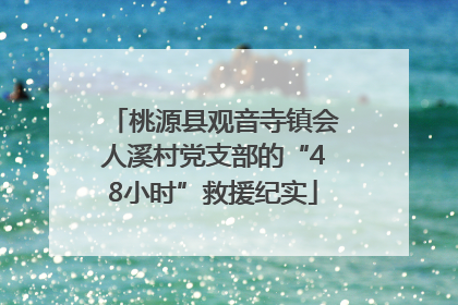 桃源县观音寺镇会人溪村党支部的“48小时”救援纪实