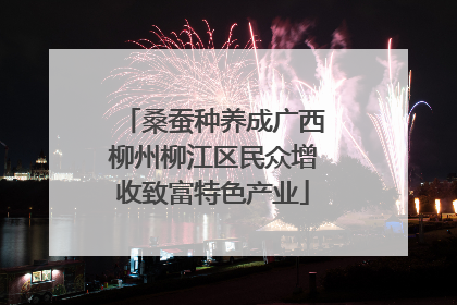 桑蚕种养成广西柳州柳江区民众增收致富特色产业
