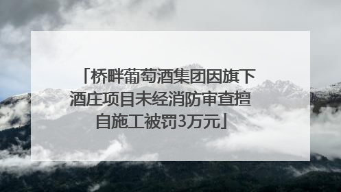 桥畔葡萄酒集团因旗下酒庄项目未经消防审查擅自施工被罚3万元