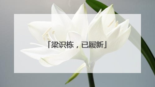 梁识栋，已履新