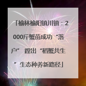 榆林榆阳镇川镇：2000斤蟹苗成功“落户” 蹚出“稻蟹共生”生态种养新路径