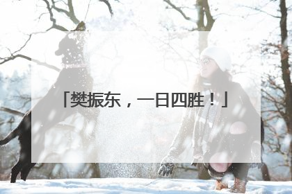 樊振东，一日四胜！