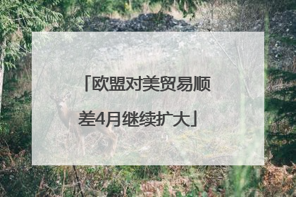 欧盟对美贸易顺差4月继续扩大