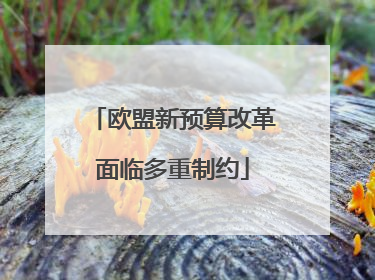 欧盟新预算改革面临多重制约