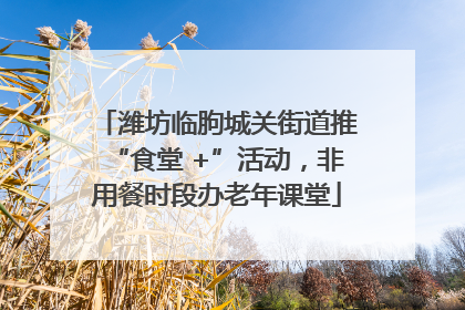 潍坊临朐城关街道推“食堂 +”活动，非用餐时段办老年课堂