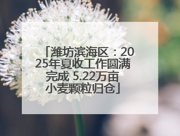 潍坊滨海区：2025年夏收工作圆满完成 5.22万亩小麦颗粒归仓