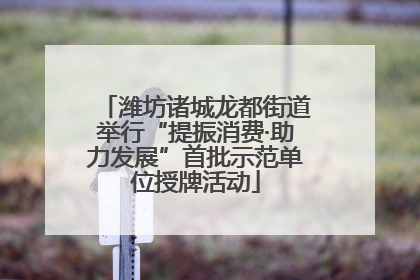 潍坊诸城龙都街道举行“提振消费·助力发展”首批示范单位授牌活动