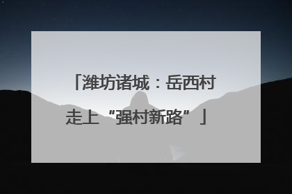 潍坊诸城：岳西村走上“强村新路”