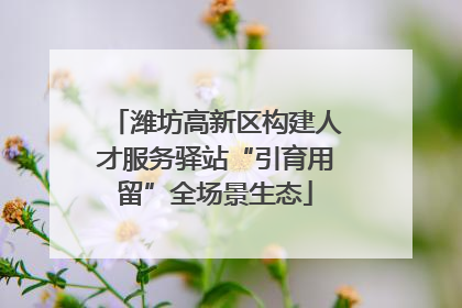 潍坊高新区构建人才服务驿站“引育用留”全场景生态