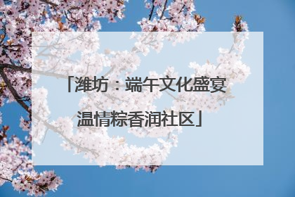 潍坊：端午文化盛宴 温情粽香润社区