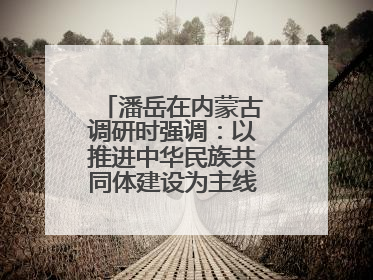 潘岳在内蒙古调研时强调：以推进中华民族共同体建设为主线推动边疆民族地区高质量发展