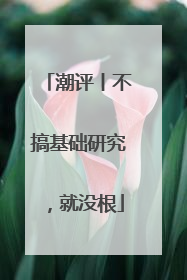 潮评丨不搞基础研究，就没根