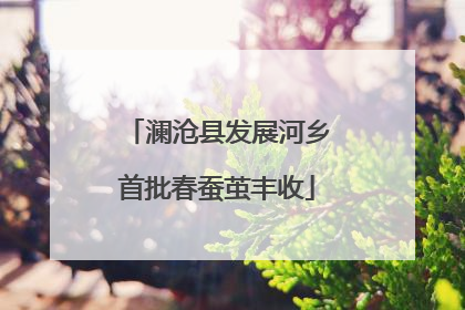 澜沧县发展河乡首批春蚕茧丰收