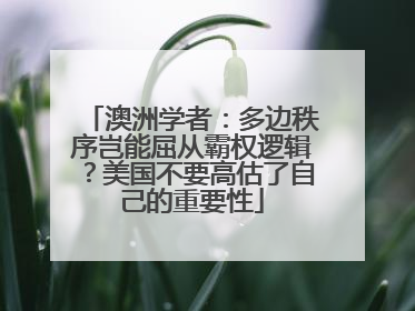 澳洲学者：多边秩序岂能屈从霸权逻辑？美国不要高估了自己的重要性
