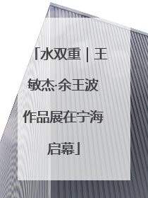 水双重｜王敏杰·余王波作品展在宁海启幕