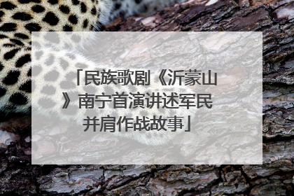 民族歌剧《沂蒙山》南宁首演讲述军民并肩作战故事