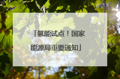 氢能试点！国家能源局重要通知