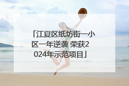 江夏区纸坊街一小区一年逆袭 荣获2024年示范项目