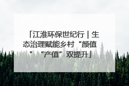 江淮环保世纪行｜生态治理赋能乡村“颜值”“产值”双提升