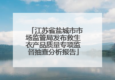 江苏省盐城市市场监管局发布救生衣产品质量专项监督抽查分析报告