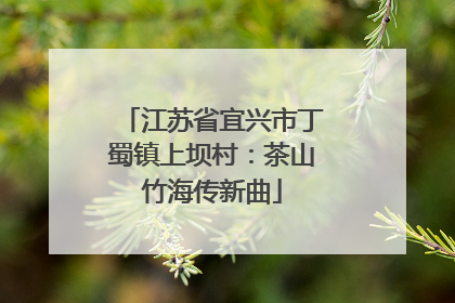 江苏省宜兴市丁蜀镇上坝村：茶山竹海传新曲
