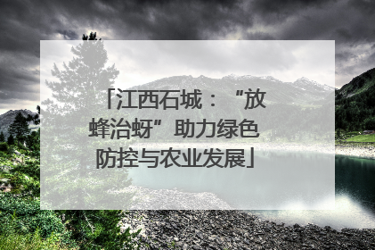 江西石城：“放蜂治蚜”助力绿色防控与农业发展
