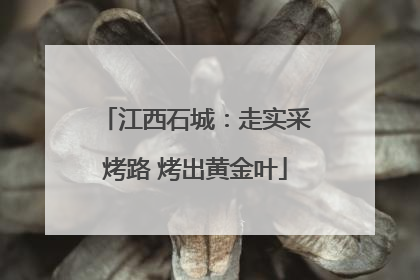 江西石城：走实采烤路 烤出黄金叶