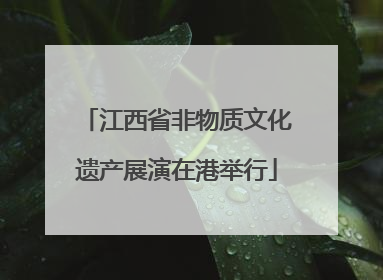 江西省非物质文化遗产展演在港举行