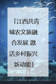 江西共青城农文旅融合发展 激活乡村振兴新动能