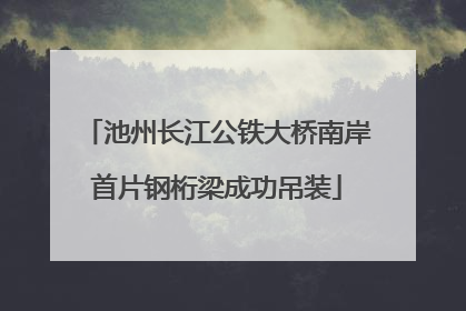 池州长江公铁大桥南岸首片钢桁梁成功吊装