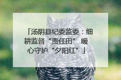 汤阴县纪委监委：细耕监督“责任田” 暖心守护“夕阳红”