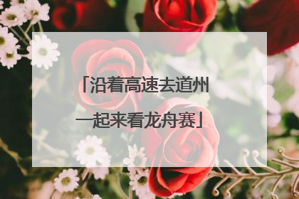 沿着高速去道州 一起来看龙舟赛