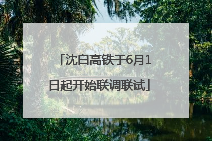 沈白高铁于6月1日起开始联调联试
