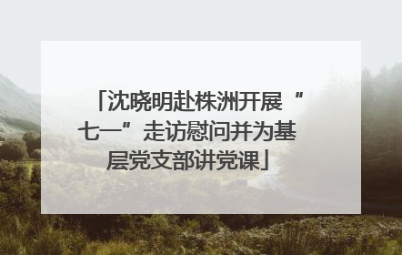 沈晓明赴株洲开展“七一”走访慰问并为基层党支部讲党课
