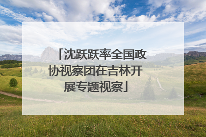 沈跃跃率全国政协视察团在吉林开展专题视察