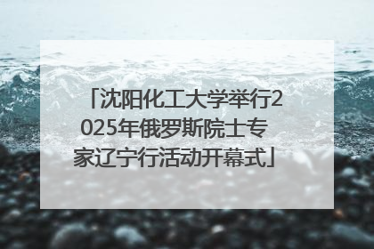 沈阳化工大学举行2025年俄罗斯院士专家辽宁行活动开幕式