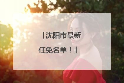 沈阳市最新任免名单！
