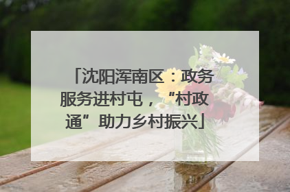 沈阳浑南区：政务服务进村屯，“村政通”助力乡村振兴