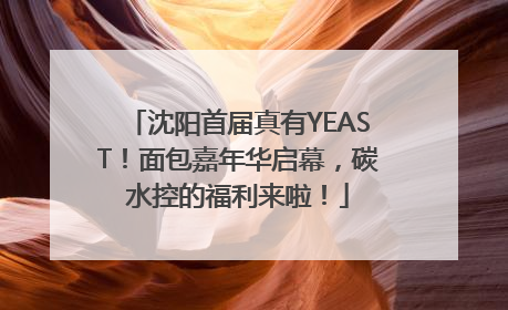 沈阳首届真有YEAST！面包嘉年华启幕，碳水控的福利来啦！