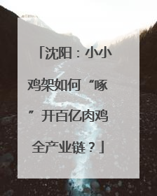 沈阳：小小鸡架如何“啄”开百亿肉鸡全产业链？