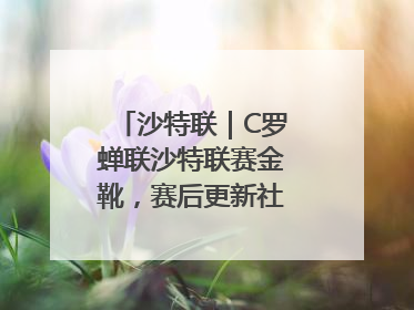 沙特联｜C罗蝉联沙特联赛金靴，赛后更新社媒暗示离队：这个章节结束了