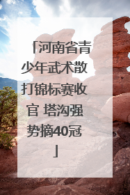 河南省青少年武术散打锦标赛收官 塔沟强势摘40冠