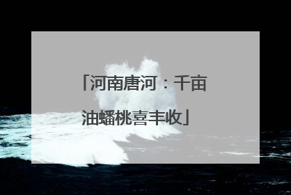 河南唐河：千亩油蟠桃喜丰收