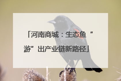 河南商城：生态鱼“游”出产业链新路径