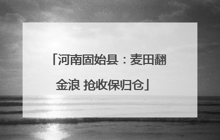河南固始县：麦田翻金浪 抢收保归仓