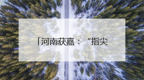 河南获嘉：“指尖”种田科技增收
