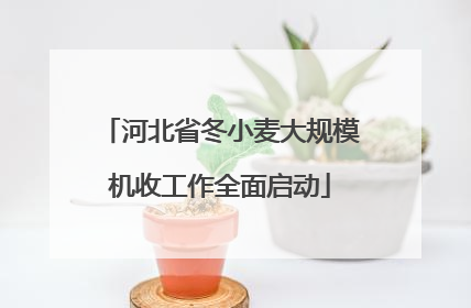 河北省冬小麦大规模机收工作全面启动