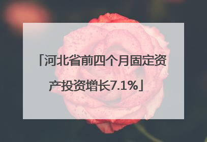河北省前四个月固定资产投资增长7.1%