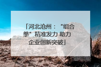 河北沧州：“组合拳”精准发力 助力企业创新突破