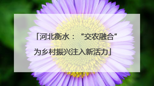 河北衡水：“交农融合”为乡村振兴注入新活力